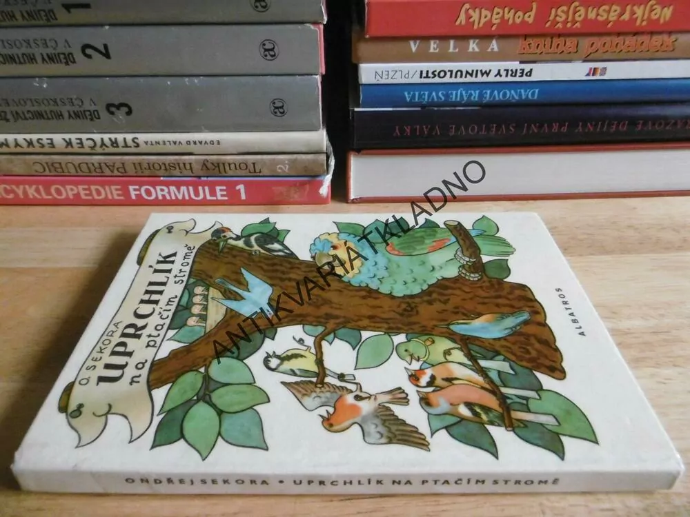 UPRCHLÍK NA PTAČÍM STROMĚ, ONDŘEJ SEKORA, 1981, **an
