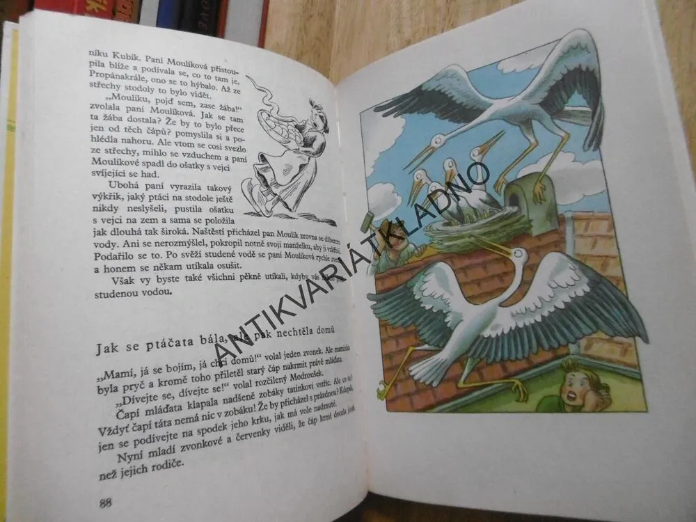 UPRCHLÍK NA PTAČÍM STROMĚ, ONDŘEJ SEKORA, 1981, **an