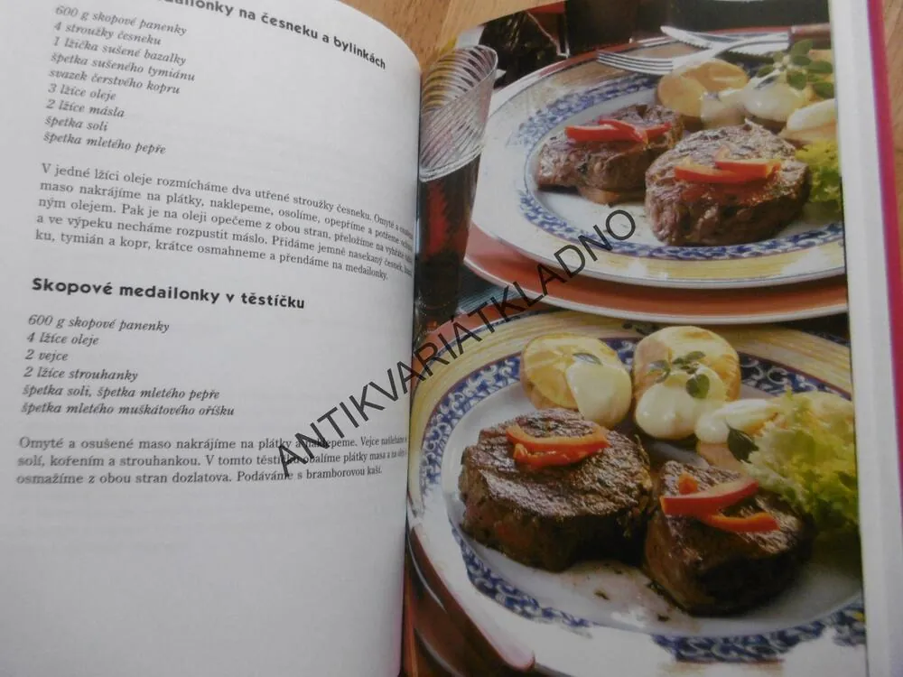 MINUTKY, 313 RECEPTŮ, KAREL HÖFLER, **an