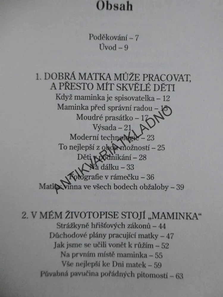 SLEPIČÍ POLÉVKA PRO PRACUJÍCÍ MÁMU, J.CANFIELD,