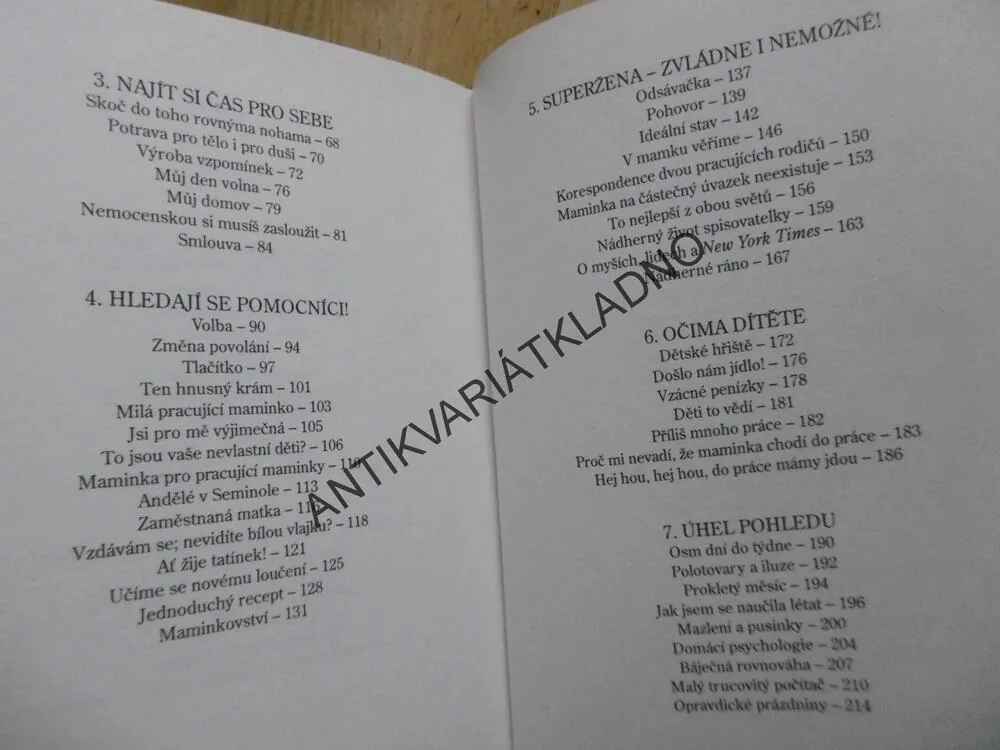 SLEPIČÍ POLÉVKA PRO PRACUJÍCÍ MÁMU, J.CANFIELD,