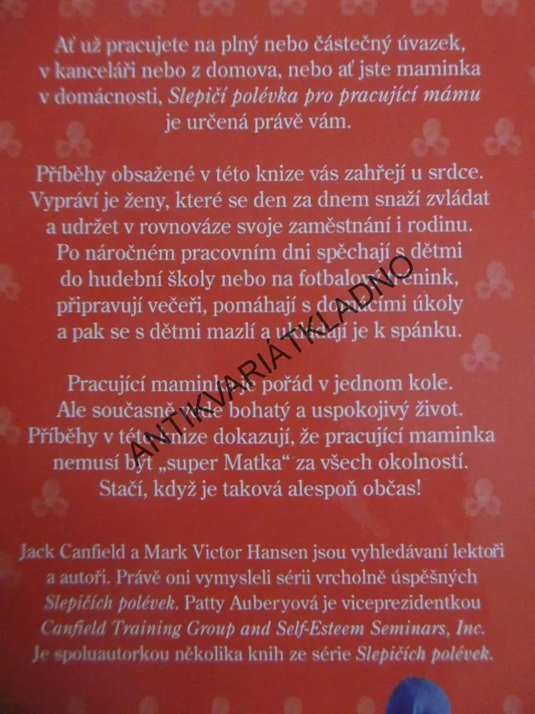 SLEPIČÍ POLÉVKA PRO PRACUJÍCÍ MÁMU, J.CANFIELD,