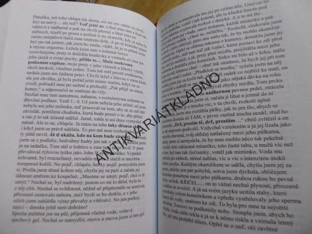 HRAČKA, SYLVA LAUEROVÁ, **an