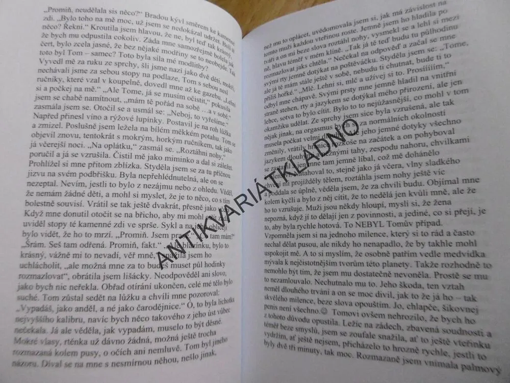 HRAČKA, SYLVA LAUEROVÁ, **an