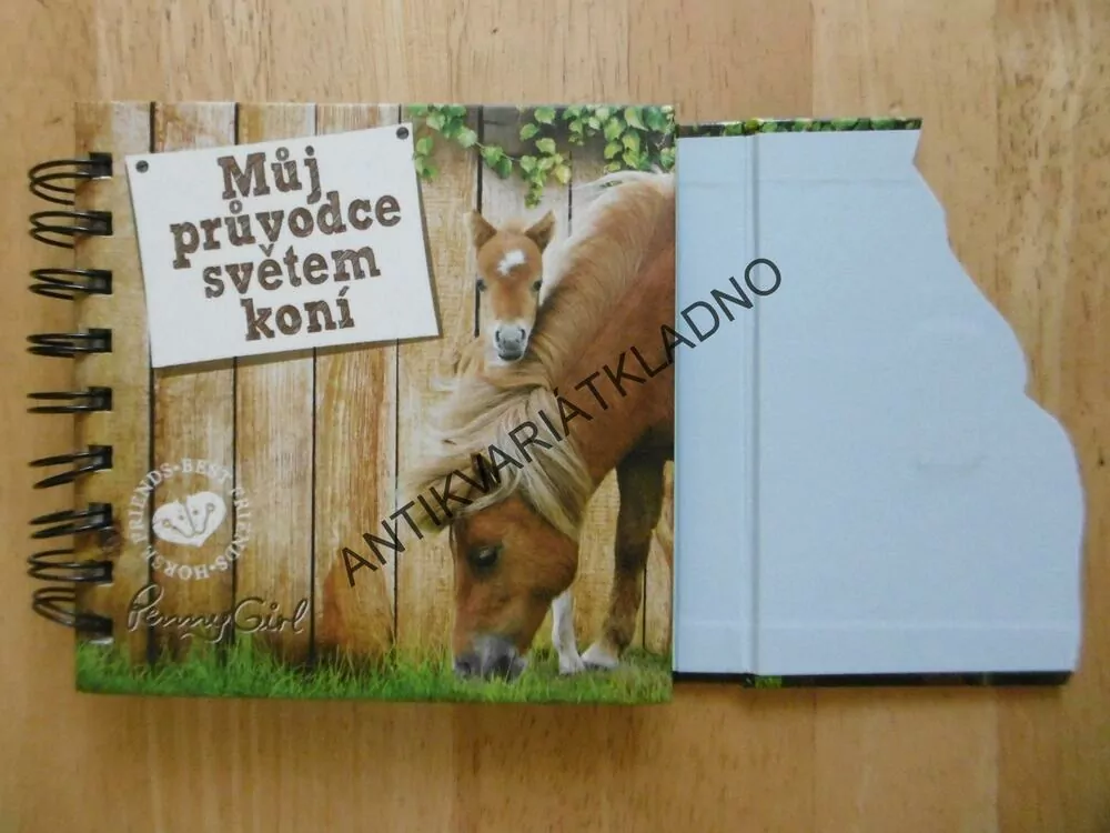 MŮJ PRŮVODCE SVĚTEM KONÍ, PONNY GIRL,
