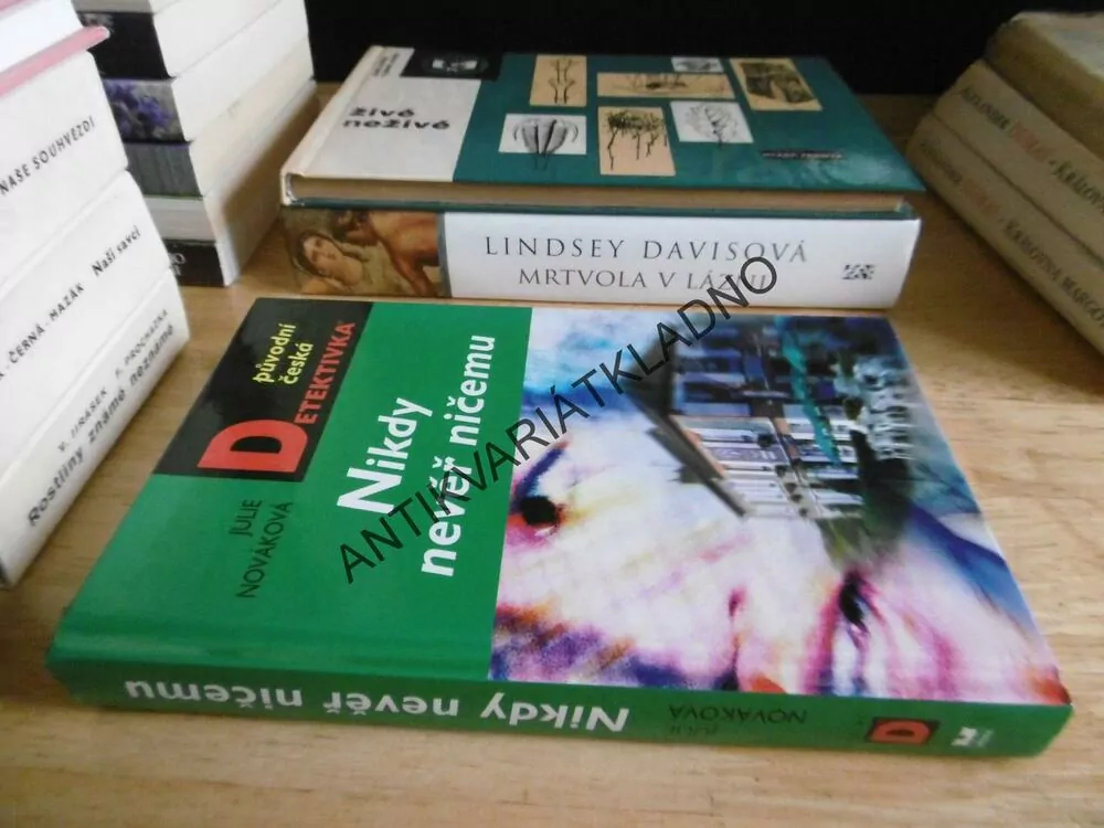 NIKDY NEVĚŘ NIČEMU, JULIE NOVÁKOVÁ, **an