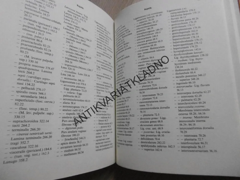 ČERNÍ BARONI ANEB VÁLČILI JSME ZA ČEPIČKY, MILOSLAV ŠVANDRLÍK, **an