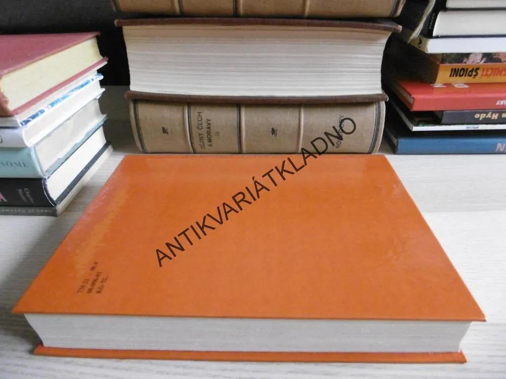 ČERNÍ BARONI ANEB VÁLČILI JSME ZA ČEPIČKY, MILOSLAV ŠVANDRLÍK, **an