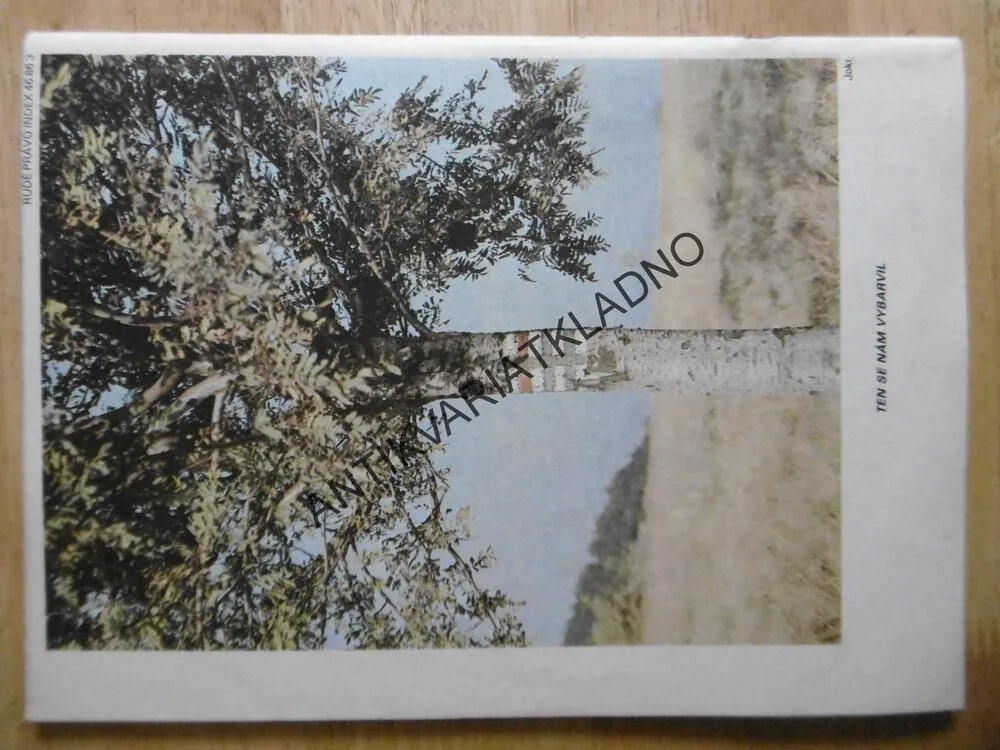 MAGAZÍN DIKOBRAZU 3/88- FLÍČKY