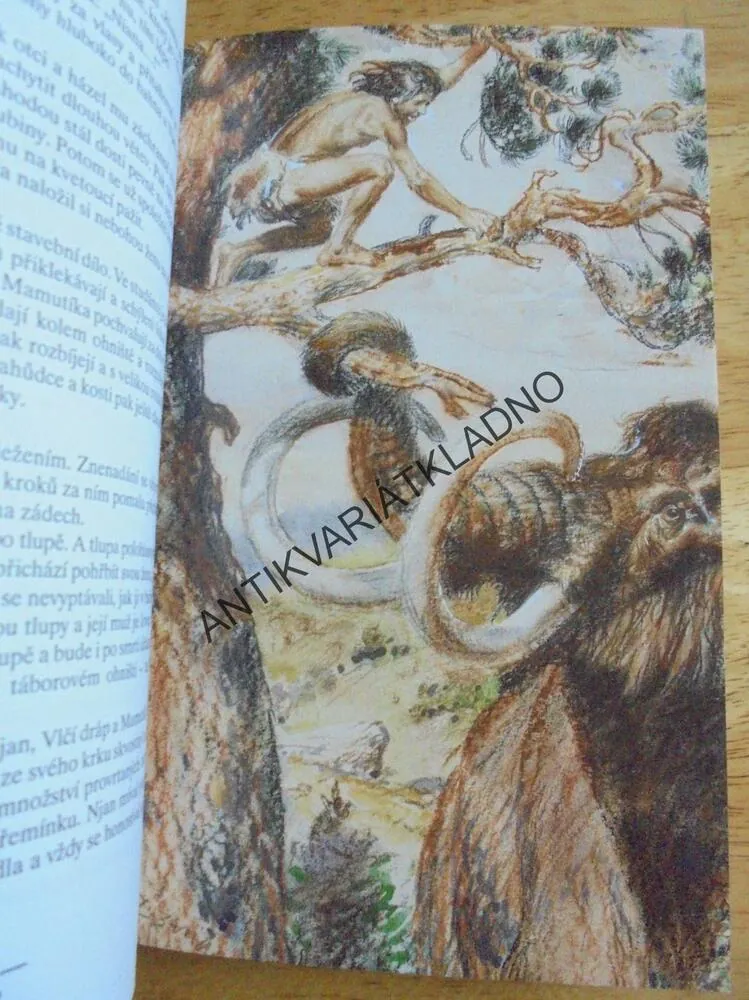 LOVCI MAMUTŮ, EDUARD ŠTORCH, 2001, **an