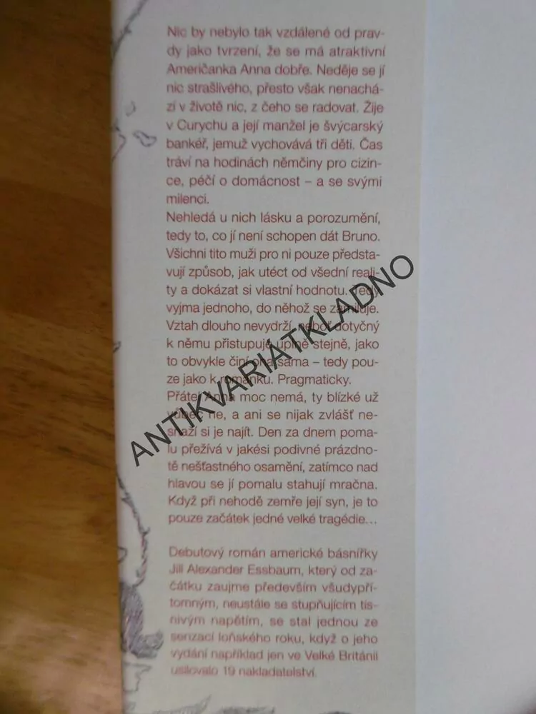HAUSFRAU, HAUS FRAU, JILL ALEXANDER ESSEBAUM, **an