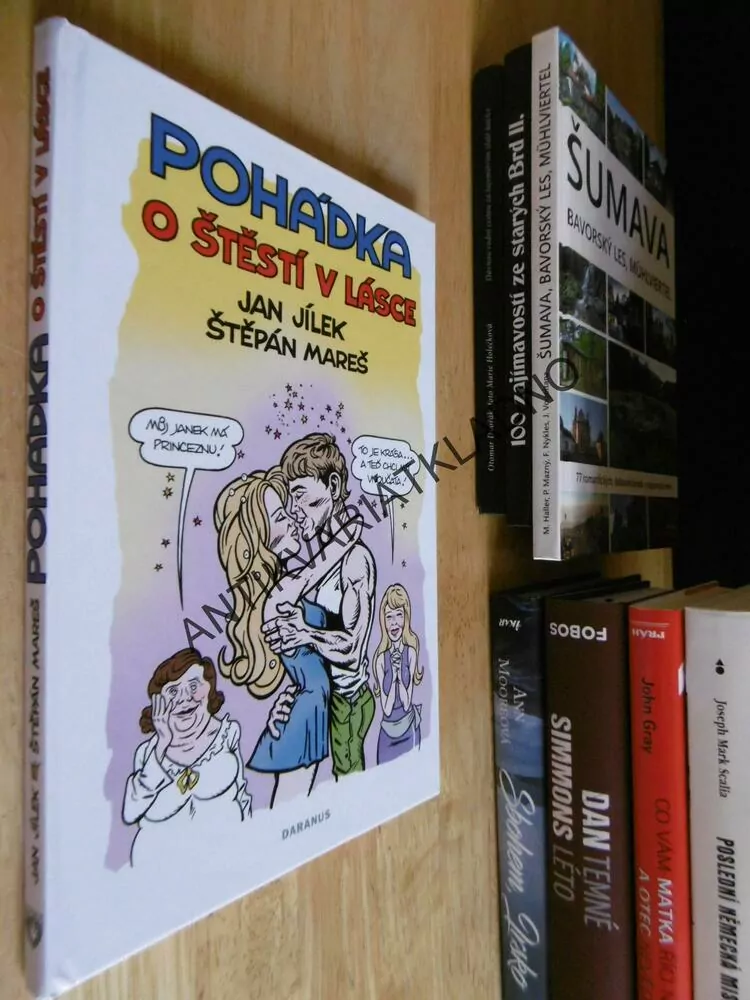 POHÁDKA O ŠTĚSTÍ V LÁSCE, JAN JÍLEK, ŠTĚPÁN MAREŠ, **an