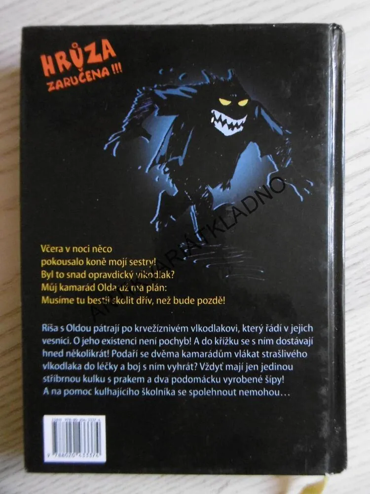 MUŽ PRO JISTÉ CHVÍLE, EVELYN HOLSTOVÁ, **an