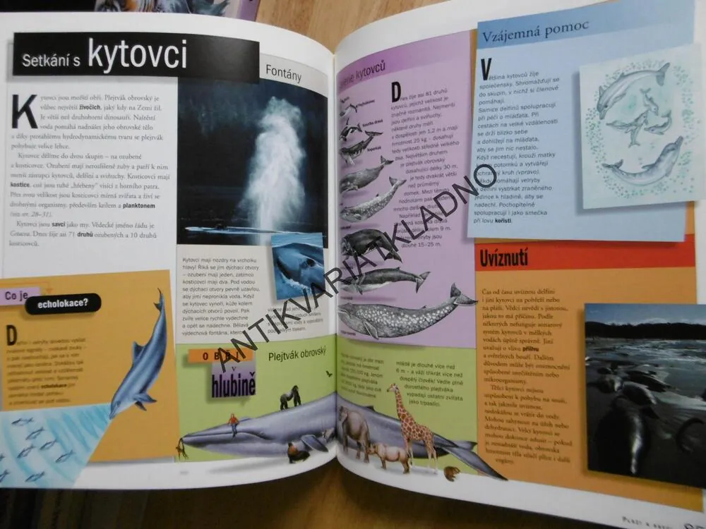 ŽIVOT V OCEÁNECH, TIME LIFE, ENCYKLOPEDIE ŠKOLÁKA, **an