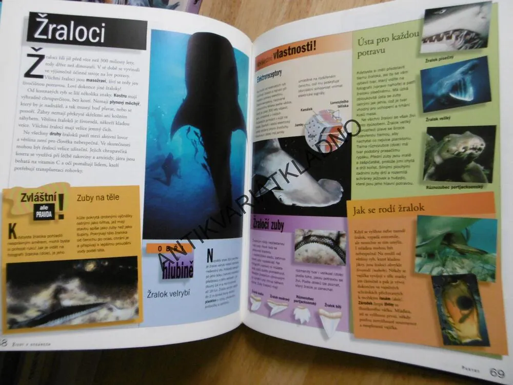 ŽIVOT V OCEÁNECH, TIME LIFE, ENCYKLOPEDIE ŠKOLÁKA, **an