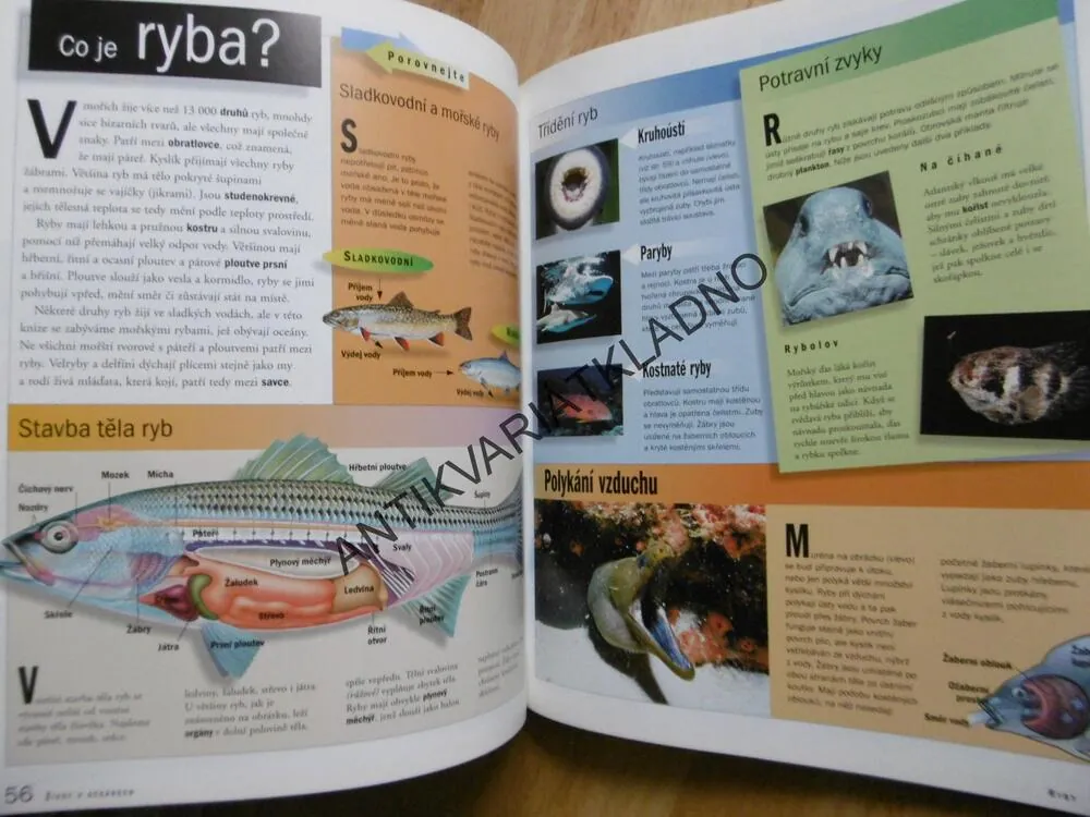 ŽIVOT V OCEÁNECH, TIME LIFE, ENCYKLOPEDIE ŠKOLÁKA, **an