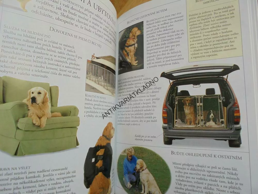 ZLATÝ RETRÍVR, PŘÍRUČKA PRO CHOVATELE, FOGLE, PES, **an