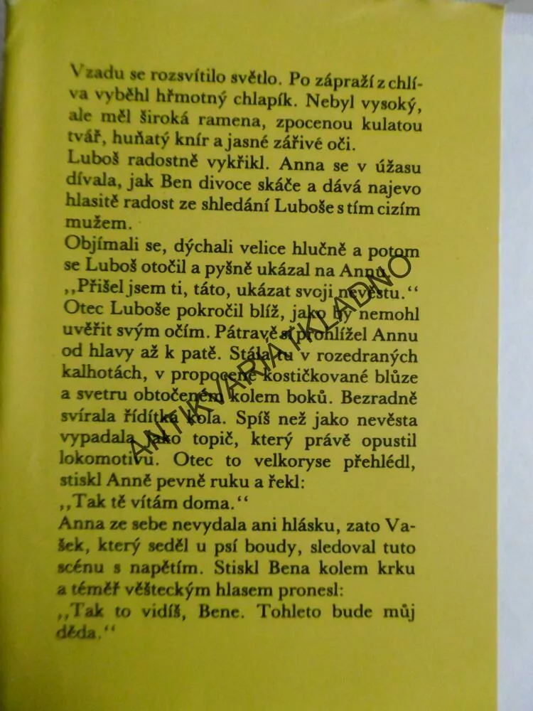 JAK DOSTAT TATÍNKA DO POLEPŠOVNY, MARIE POLEDŇÁKOVÁ, **an