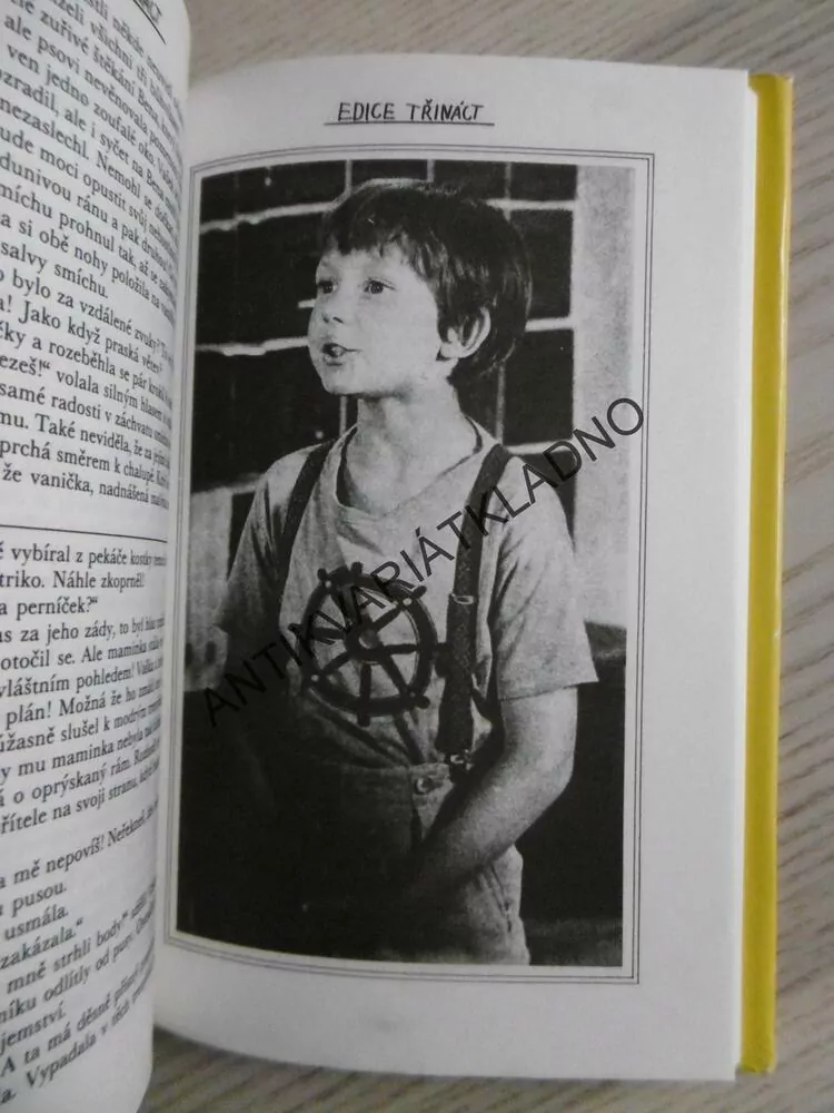 JAK DOSTAT TATÍNKA DO POLEPŠOVNY, MARIE POLEDŇÁKOVÁ, **an