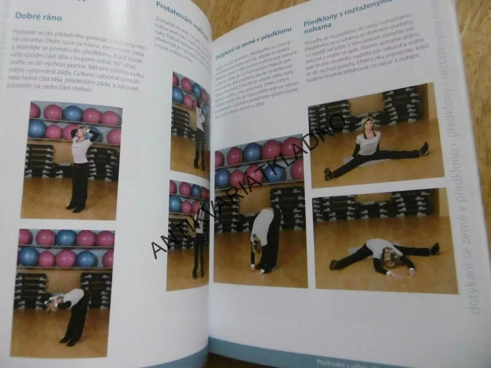 KRÁSNÁ, ZDRAVÁ A FIT V KAŽDÉM VĚKU, NATALIE A. ROLLKO, **an