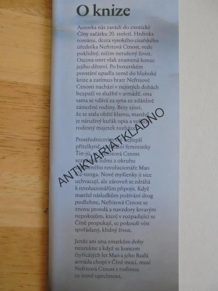 SEN O MĚSTĚ OBEHNANÉM ZDÍ, LISA HUANG FLEISCHMAN, **an