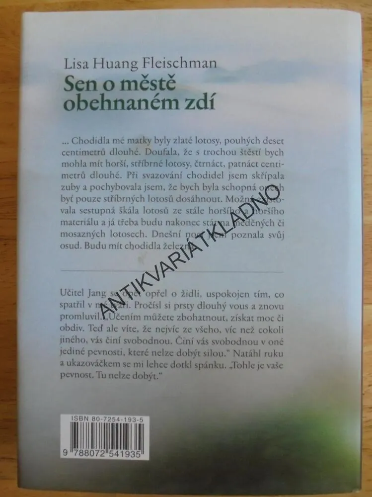 SEN O MĚSTĚ OBEHNANÉM ZDÍ, LISA HUANG FLEISCHMAN, **an