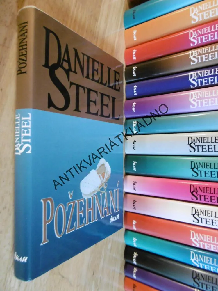 POŽEHNÁNÍ, DANIELLE STEEL, **an
