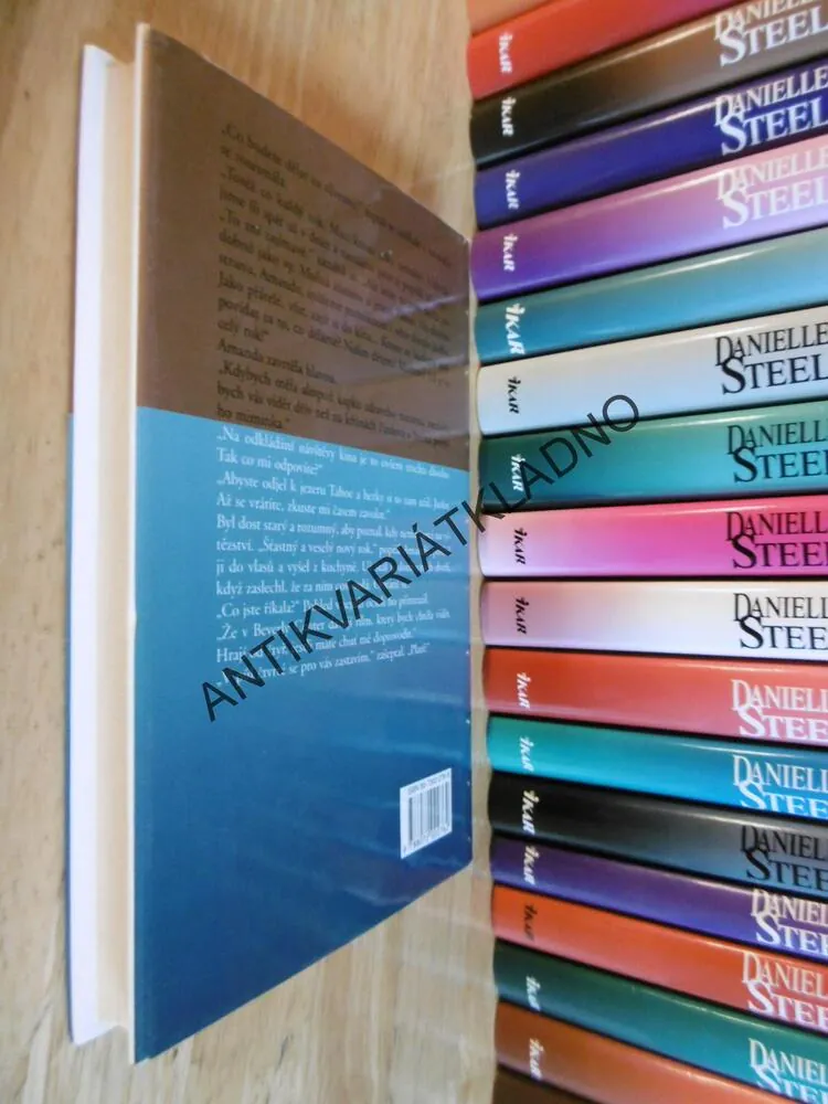 POŽEHNÁNÍ, DANIELLE STEEL, **an