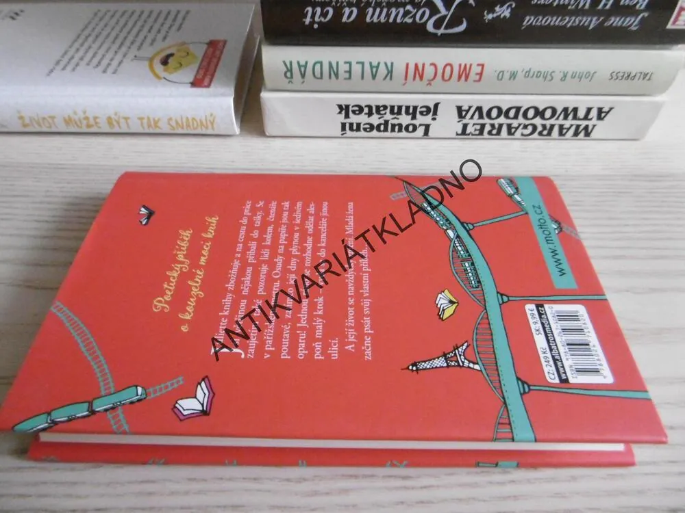 DÍVKA, KTERÁ ČETLA V METRU, CHRISTINE FÉRET-FLEURY, **an