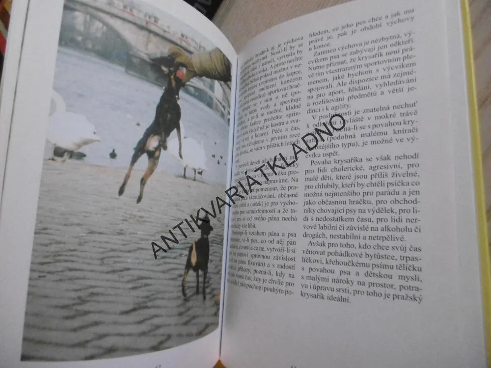 PRAŽSKÝ KRYSAŘÍK, MONOGRAFIE PSÍCH PLEMEN, **an