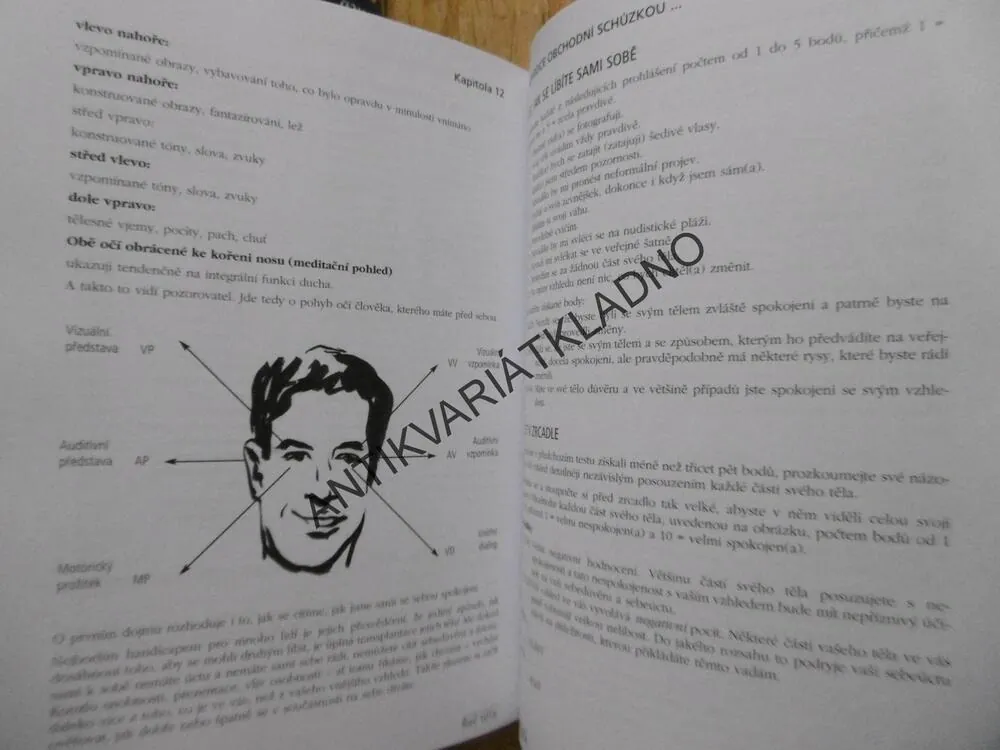 ŘEČ TĚLA, NEVERBÁLNÍ KOMUNIKACE PRO OBCHODNÍKY BĚŽNÝ ŽIVOT, VOJTĚCH ČERNÝ, VČETNĚ DVD,