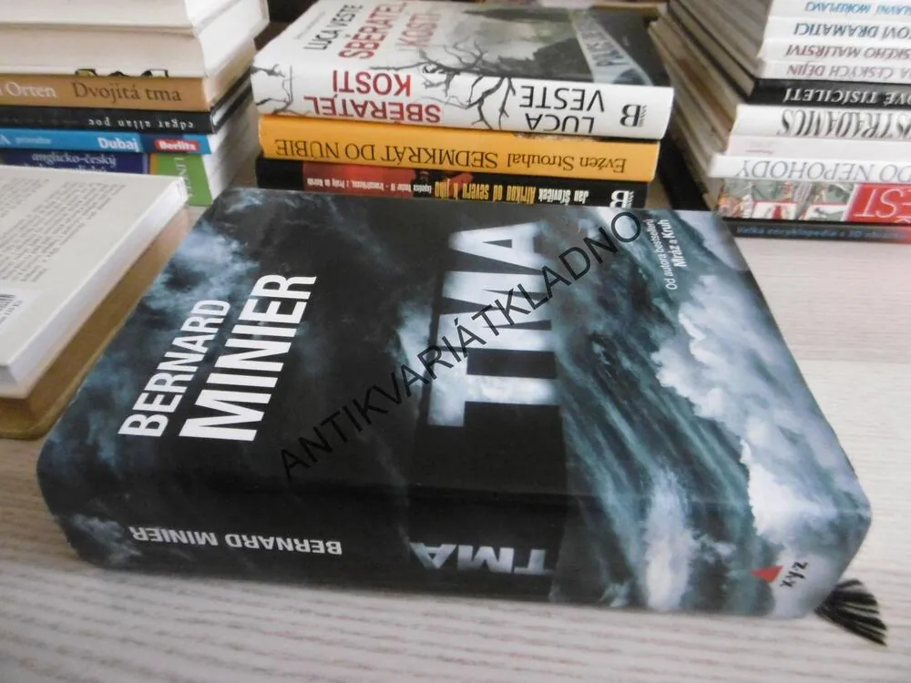 TMA, BERNARD MINIER, **an