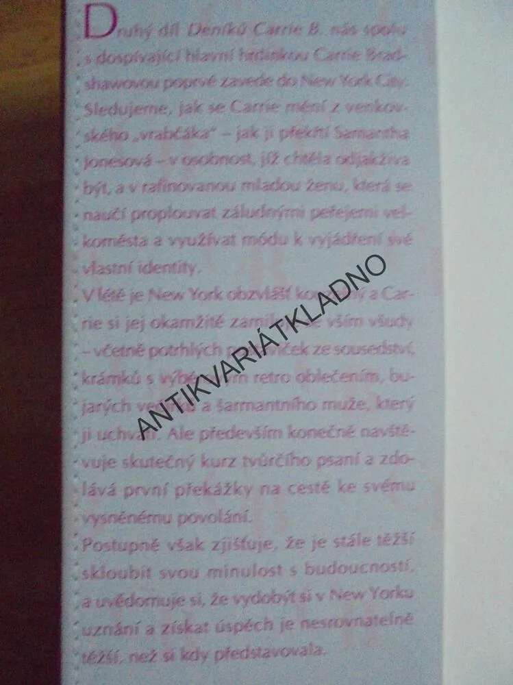 LÉTO VE MĚSTĚ, DENÍKY CARRIE B. 2., C.BUSHNELLOVÁ, **an