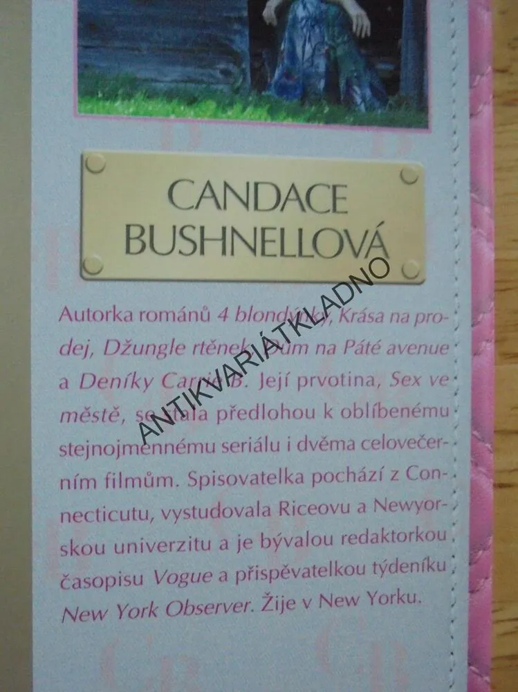 LÉTO VE MĚSTĚ, DENÍKY CARRIE B. 2., C.BUSHNELLOVÁ, **an