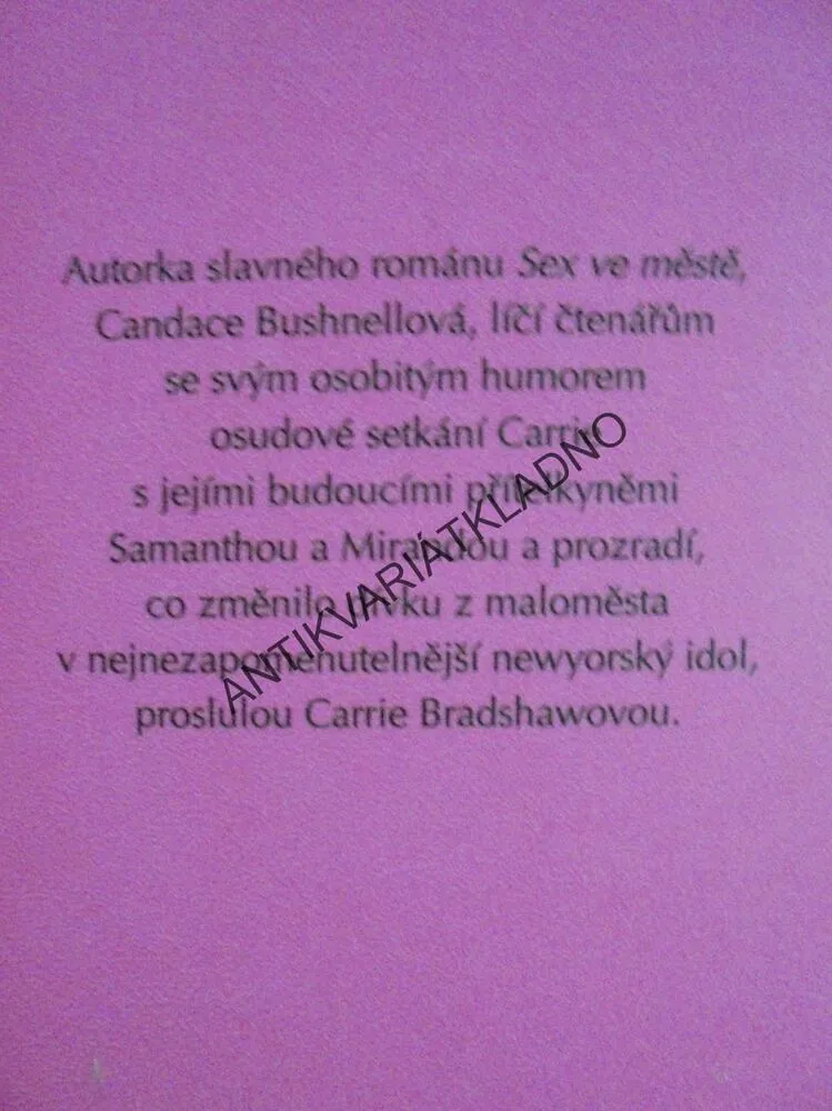 LÉTO VE MĚSTĚ, DENÍKY CARRIE B. 2., C.BUSHNELLOVÁ, **an