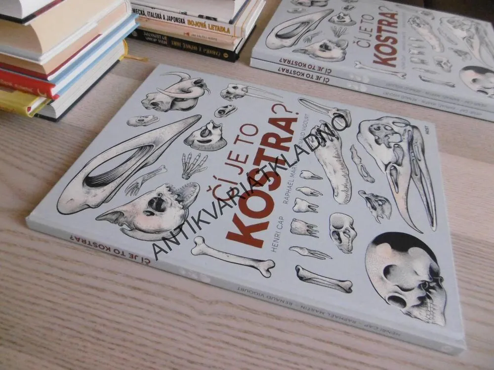 ČÍ JE TO KOSTRA?, HENRI CAP, RAPHAËL MARTIN, RENAUD VIGOURT