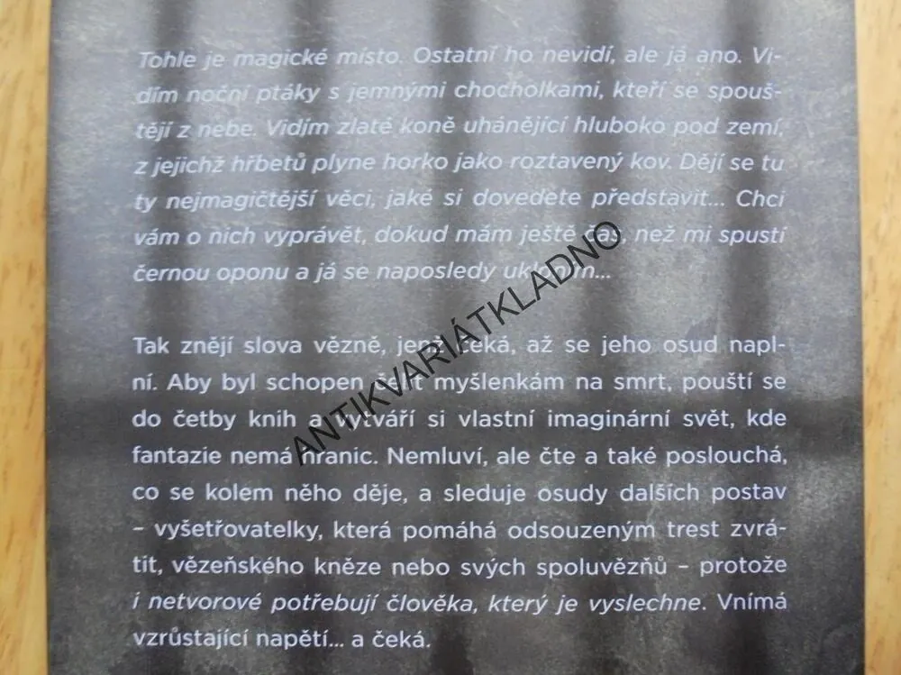 MAGICKÝ ÚNIK, ZPOVĚĎ Z CELY SMRTI,DENFELDOVÁ, **an