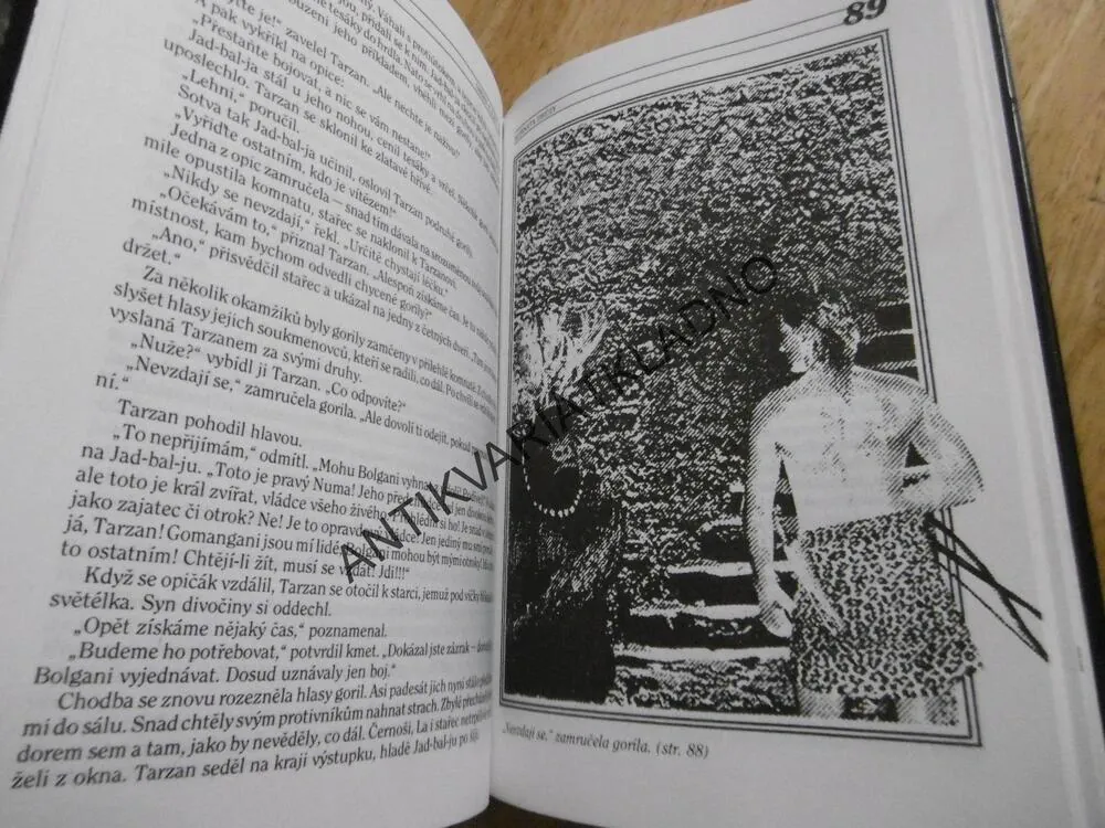TARZAN A ZLATÝ LEV 9., DOBRODRUŽSTVÍ LORDA GREYSTOKA, EDGAR RICE BURROUGHS, **an