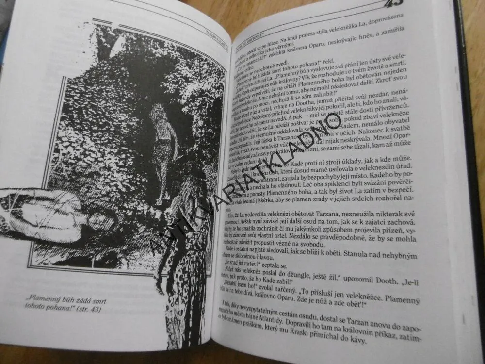 TARZAN A ZLATÝ LEV 9., DOBRODRUŽSTVÍ LORDA GREYSTOKA, EDGAR RICE BURROUGHS, **an