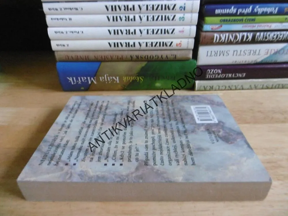 KROK ZA KROKEM, TO NEJDŮLEŽITĚJŠÍ PŘEDEVŠÍM, STEPHEN R. COVEY, **an