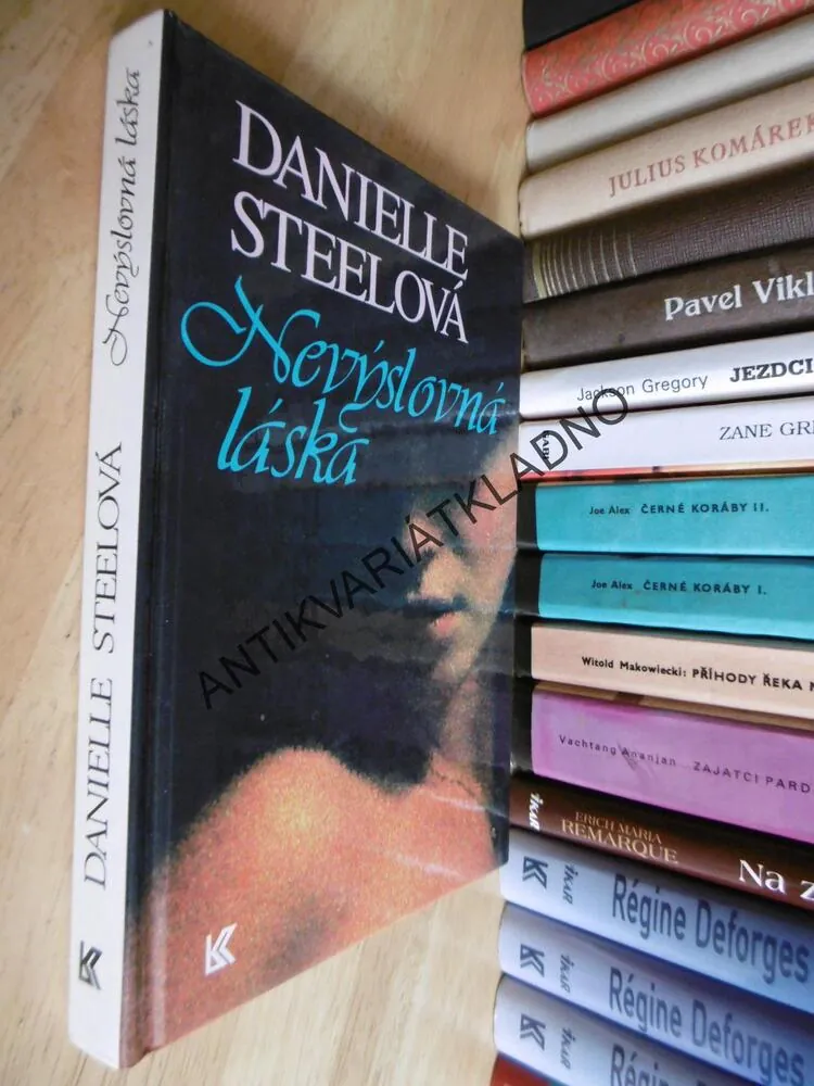 NEVÝSLOVNÁ LÁSKA, DANIELLE STEEL, **an