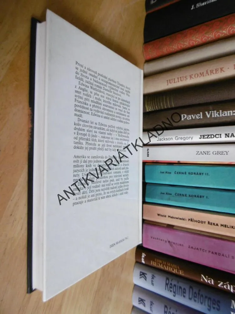 NEVÝSLOVNÁ LÁSKA, DANIELLE STEEL, **an