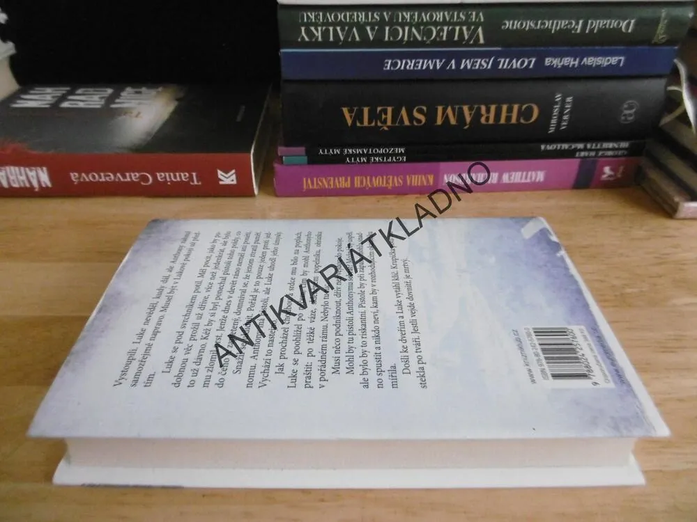 SNĚŽNÁ SLEPOTA, KEN FOLLETT, **an