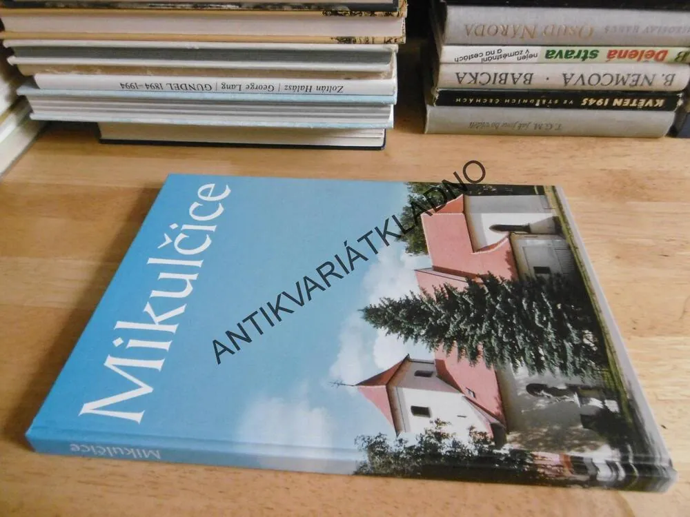 MIKULČICE, SVATOPLUK RUTAR, **an