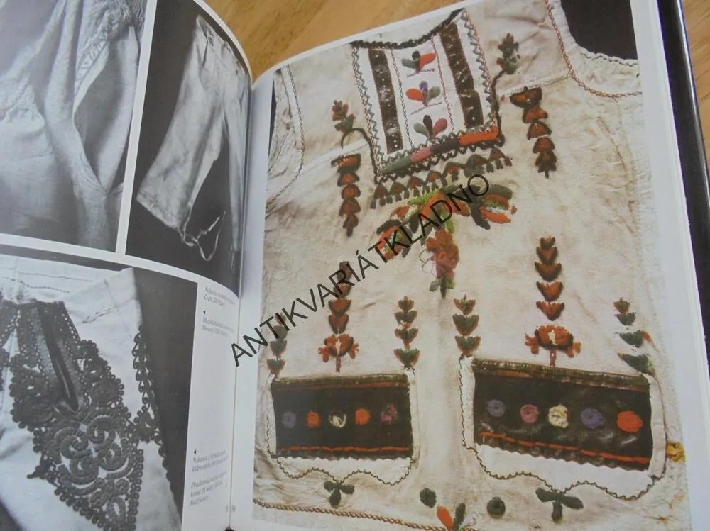 TRADICE LIDOVÉ TVORBY, VLASTIMIL VONDRUŠKA, **an