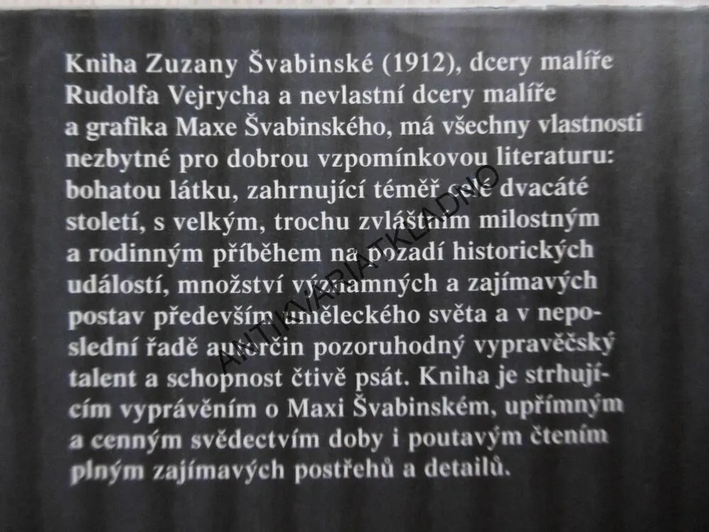 SVĚTLA PAMĚTI, ZUZANA ŠVABINSKÁ, **an