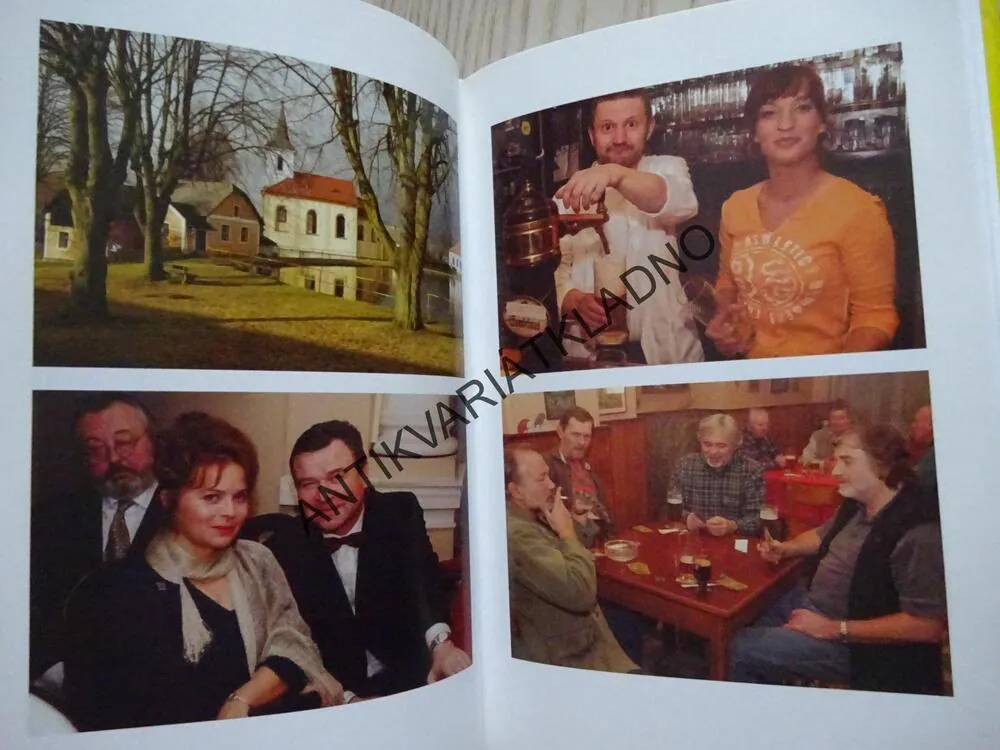HEREČKA VELIKÝCH VÁŠNÍ, SIMONA STAŠOVÁ, **an