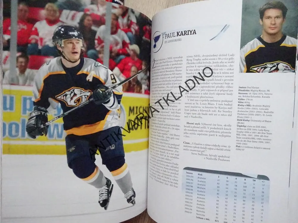 HVĚZDY NHL 2014, ČEŠI A SLOVÁCI V SEZONĚ 2012/13, LEDNÍ HOKEJ, **an