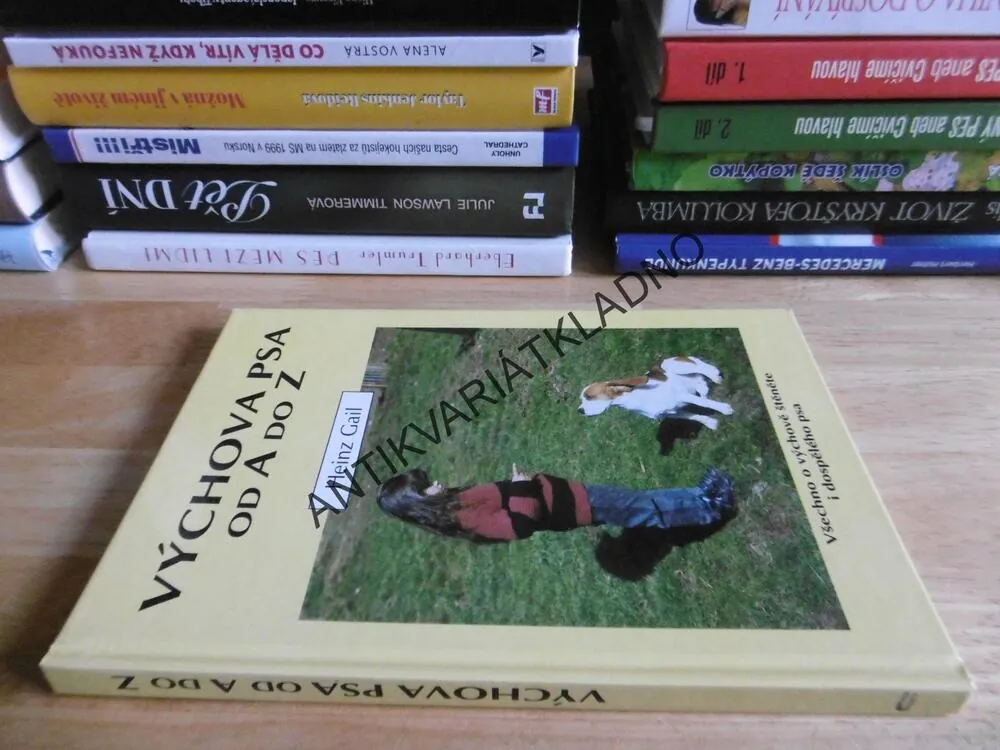 VÝCHOVA PSA OD A DO Z, HEINZ GAIL, 