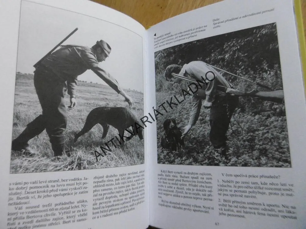 VÝCHOVA PSA OD A DO Z, HEINZ GAIL, 